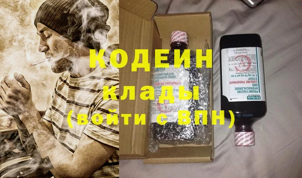 индика Болохово