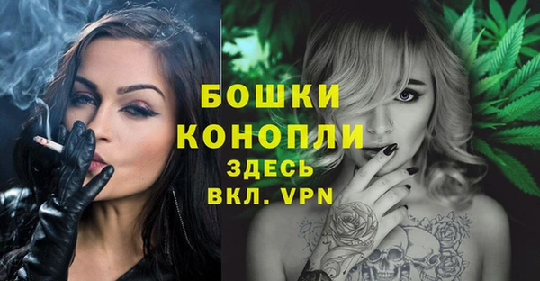 ПСИЛОЦИБИНОВЫЕ ГРИБЫ Елабуга