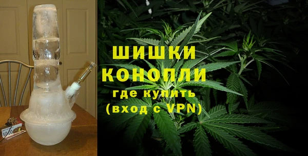 ПСИЛОЦИБИНОВЫЕ ГРИБЫ Елабуга