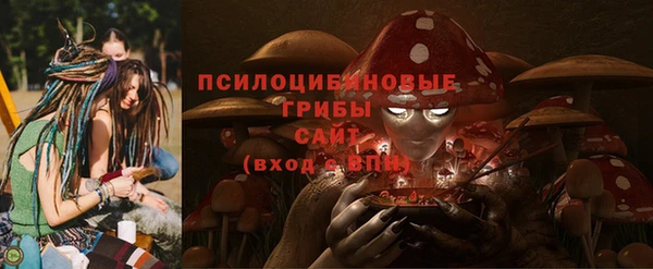 ПСИЛОЦИБИНОВЫЕ ГРИБЫ Елабуга