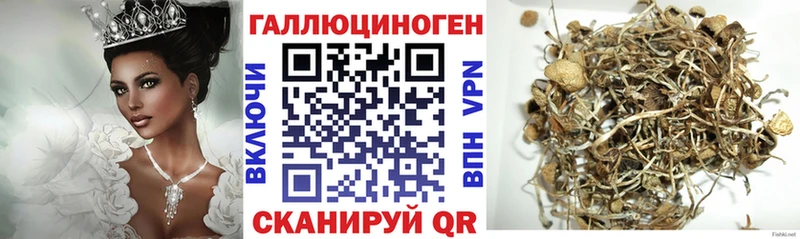 Псилоцибиновые грибы Cubensis  где продают   Заинск 