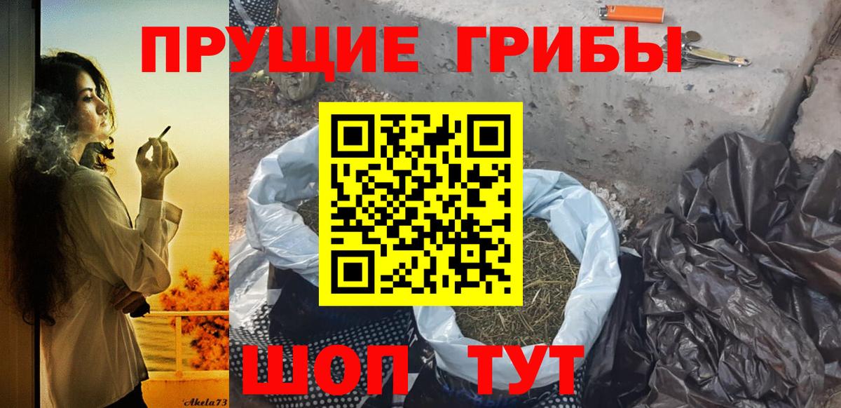 Псилоцибиновые грибы ЛСД  Вход с VPN  Псилоцибиновые грибы Magic Shrooms  Заинск 