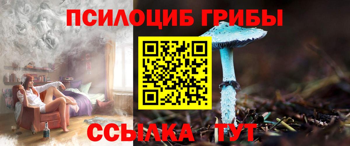 Галлюциногенные грибы ЛСД Заинск